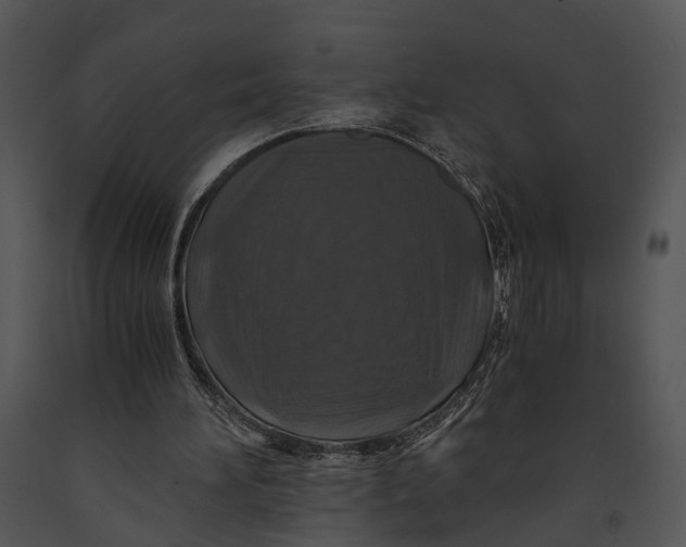 X0000091180196200708301223