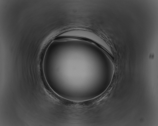 X0000091180197200708301223