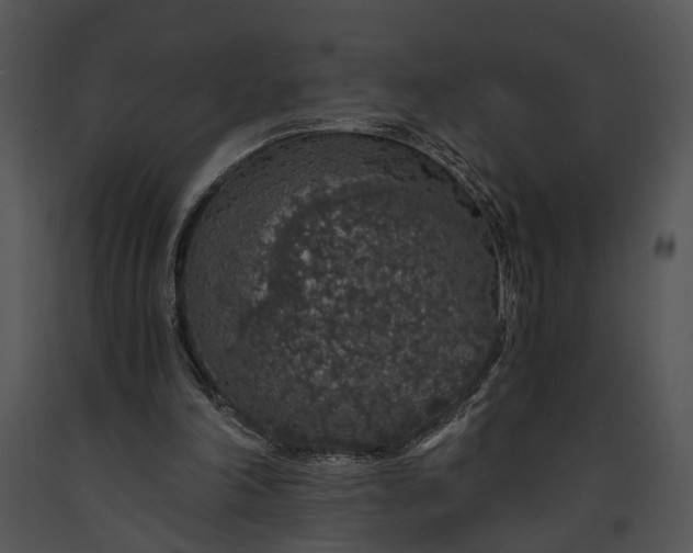 X0000091180198200708301223
