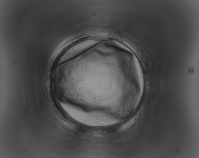 X0000091180199200708301223