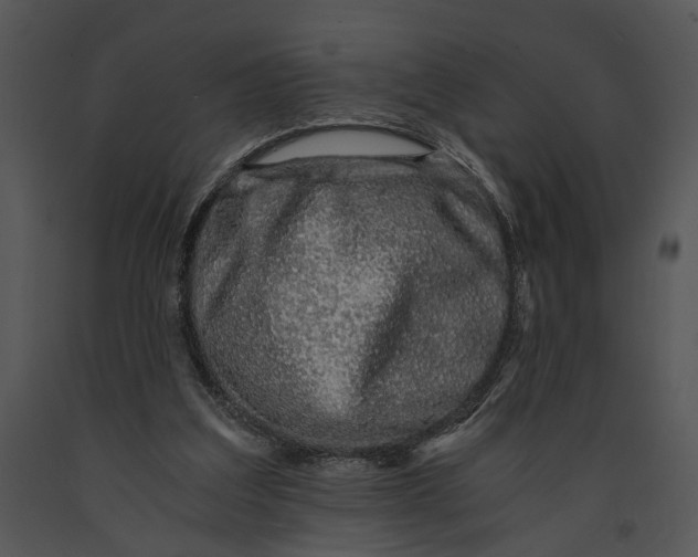 X0000091180203200708301223