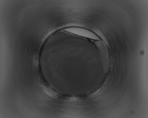 X0000091180204200708301223