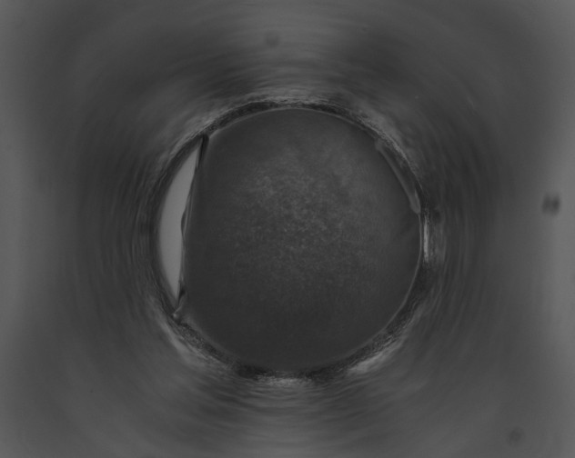 X0000091180205200708301223