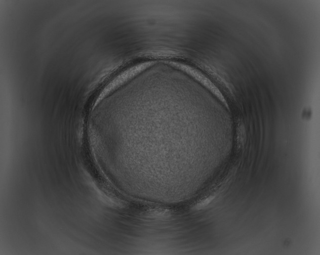 X0000091180206200708301223