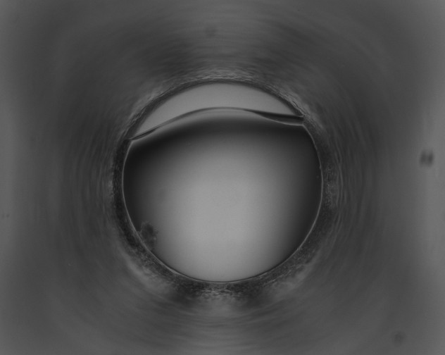 X0000091180207200708301223