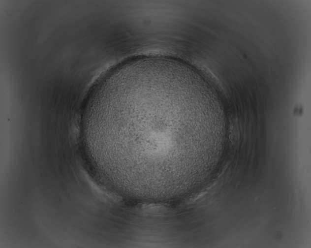 X0000091180208200708301223