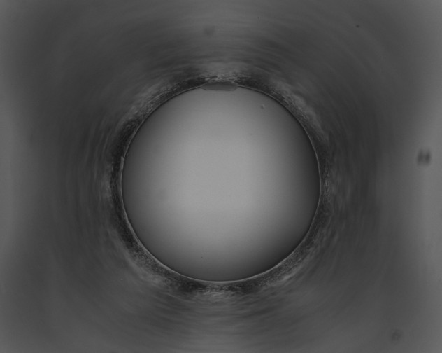 X0000091180209200708301223
