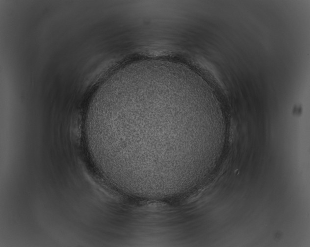 X0000091180210200708301223