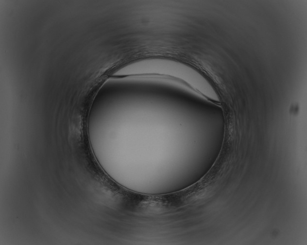 X0000091180211200708301223