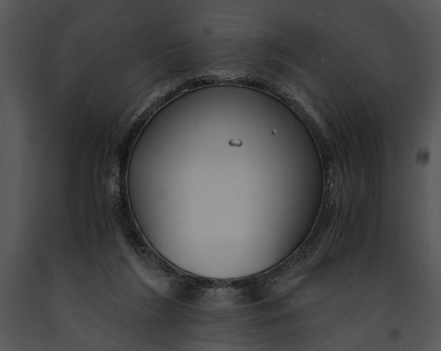 X0000091180212200708301223