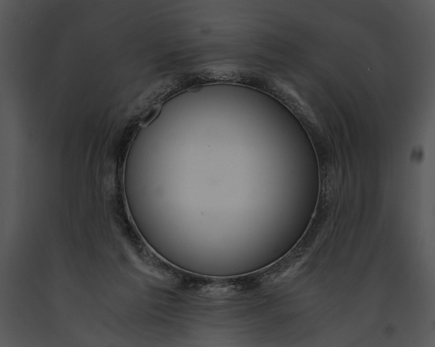 X0000091180213200708301223