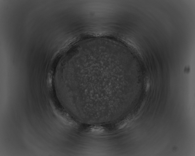 X0000091180214200708301223