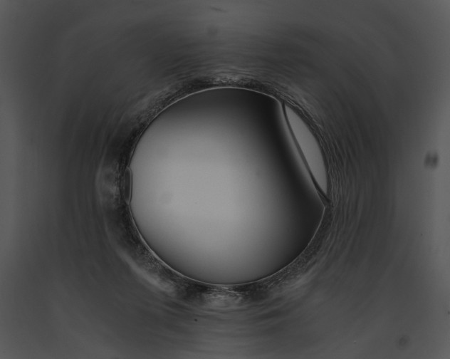 X0000091180215200708301223