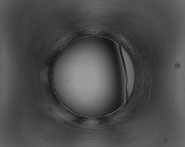 X0000091180217200708301223