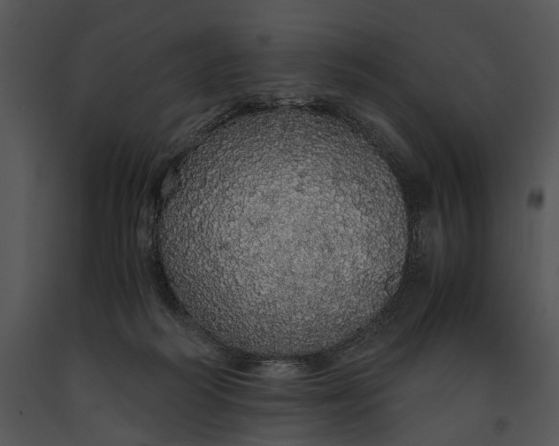 X0000091180218200708301223