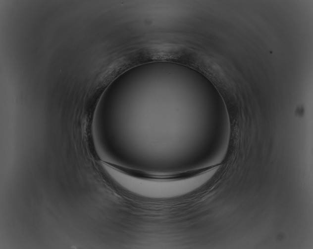 X0000091180219200708301223