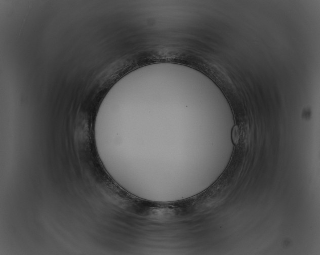 X0000091180220200708301223