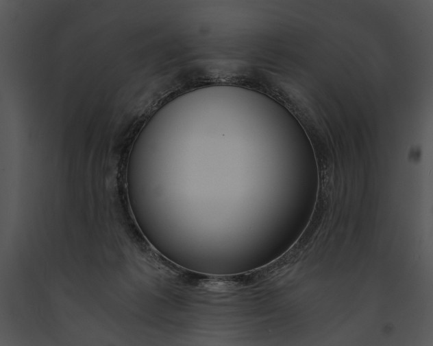 X0000091180221200708301223