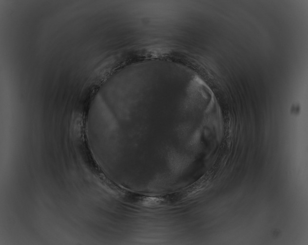 X0000091180222200708301223
