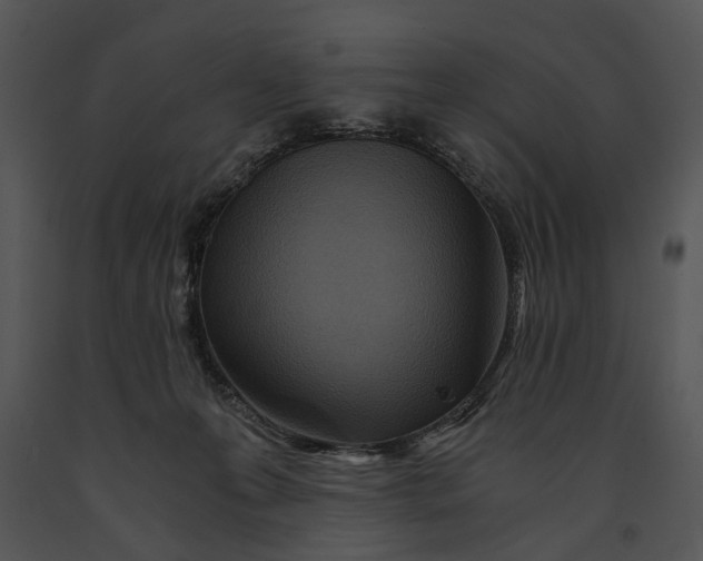 X0000091180223200708301223