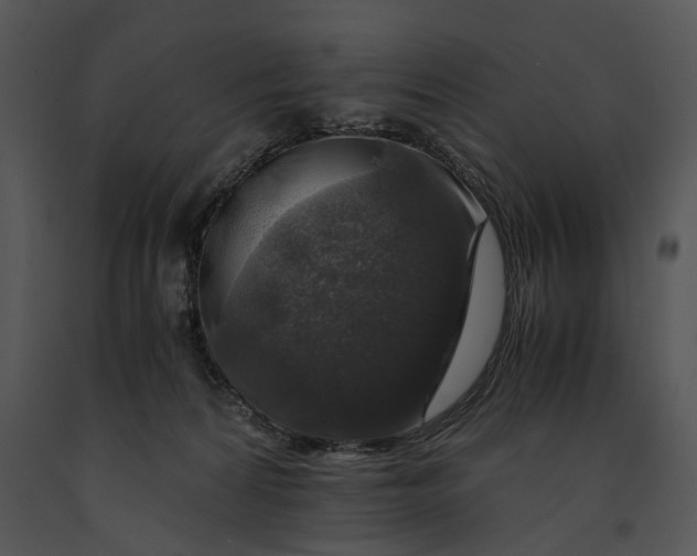 X0000091180224200708301223
