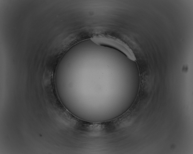 X0000091180225200708301223