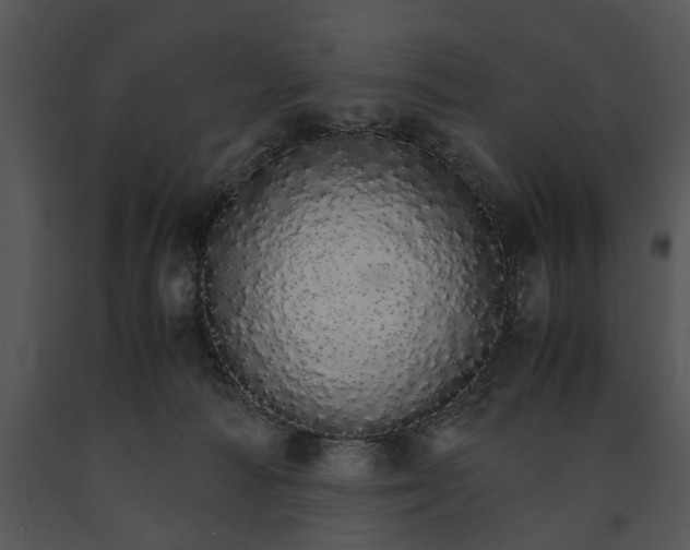 X0000091180226200708301223