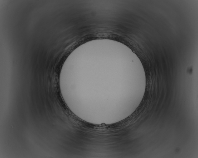 X0000091180228200708301223