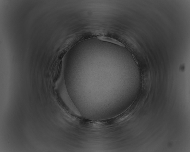 X0000091180229200708301223