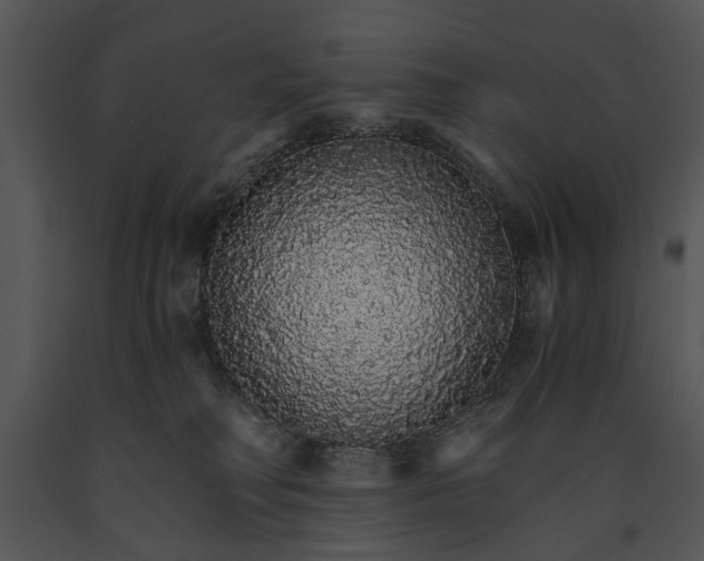 X0000091180230200708301223