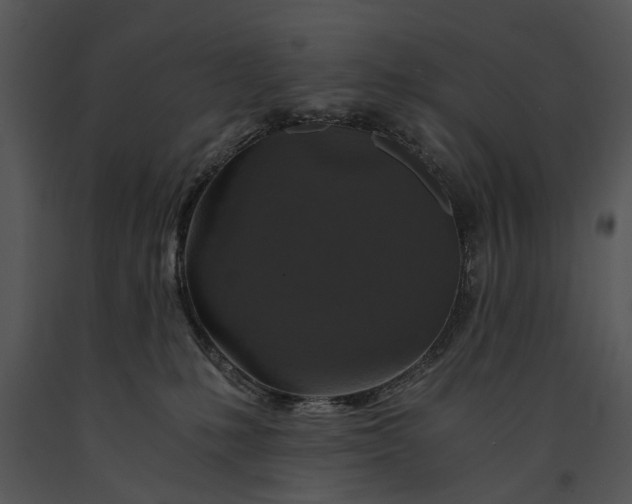 X0000091180231200708301223