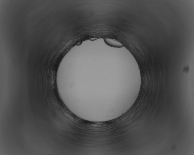 X0000091180232200708301223