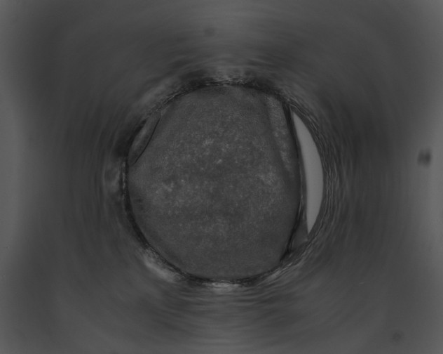 X0000091180233200708301223