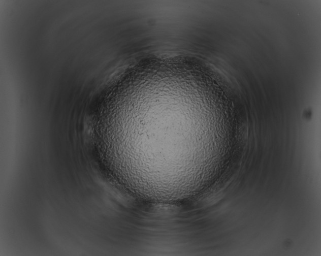 X0000091180234200708301223