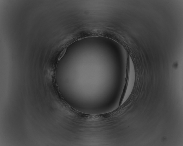 X0000091180235200708301223