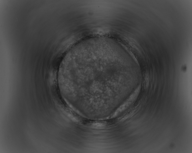 X0000091180236200708301223