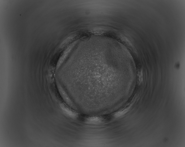 X0000091180237200708301223