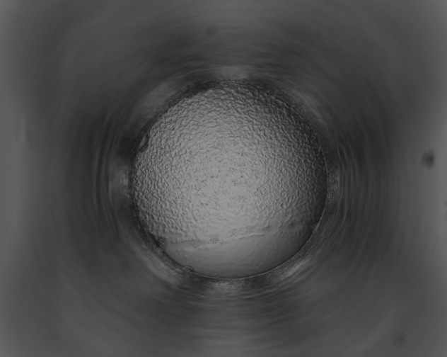 X0000091180238200708301223