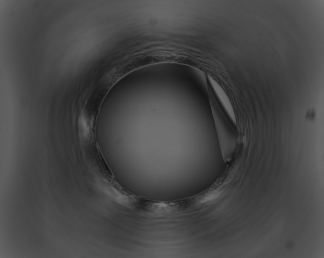 X0000091180239200708301223