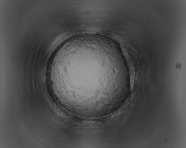 X0000091180242200708301222