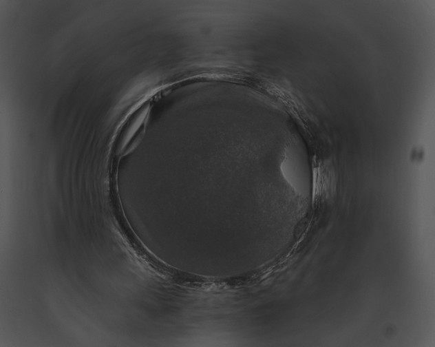 X0000091180243200708301222