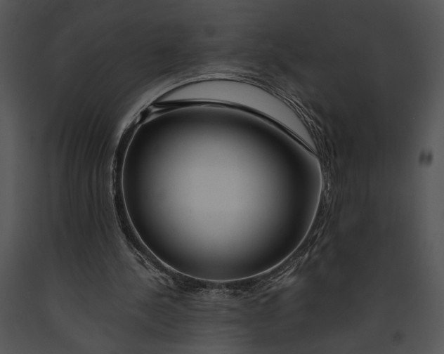 X0000091180244200708301222