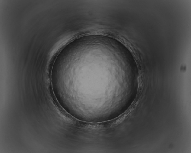 X0000091180245200708301222