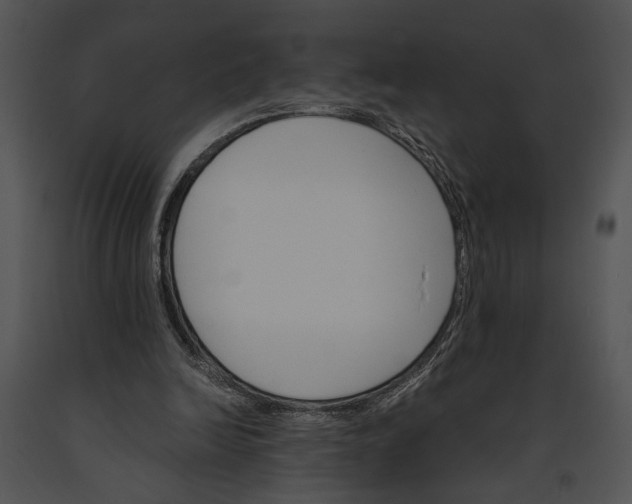 X0000091180246200708301222