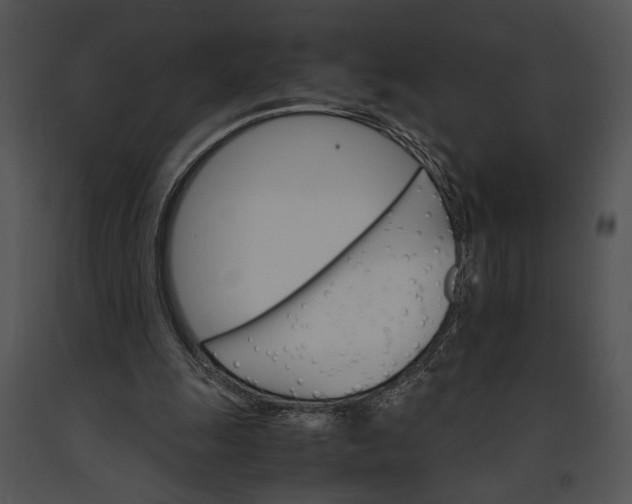X0000091180247200708301222