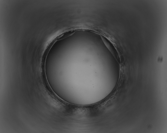 X0000091180248200708301222