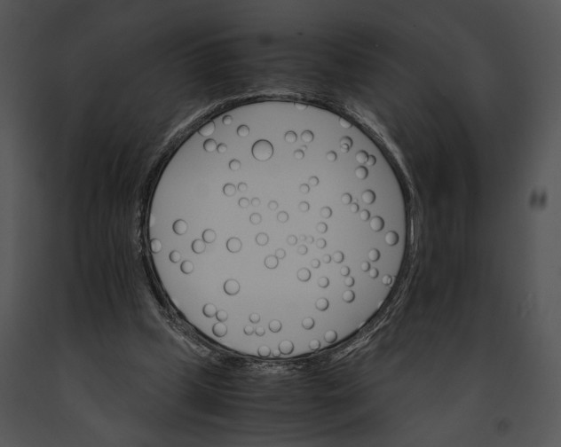 X0000091180249200708301222