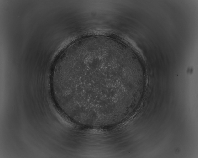 X0000091180250200708301222