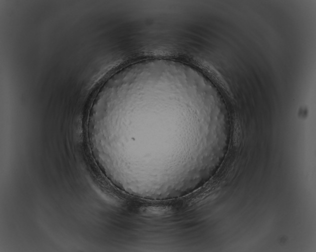 X0000091180251200708301222