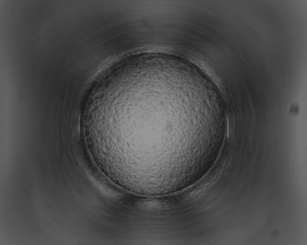 X0000091180253200708301222